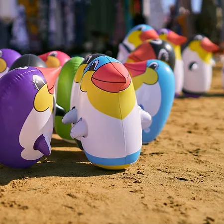 In 24541 * Бибионе