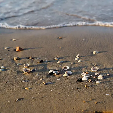 Apartment In 24541 *