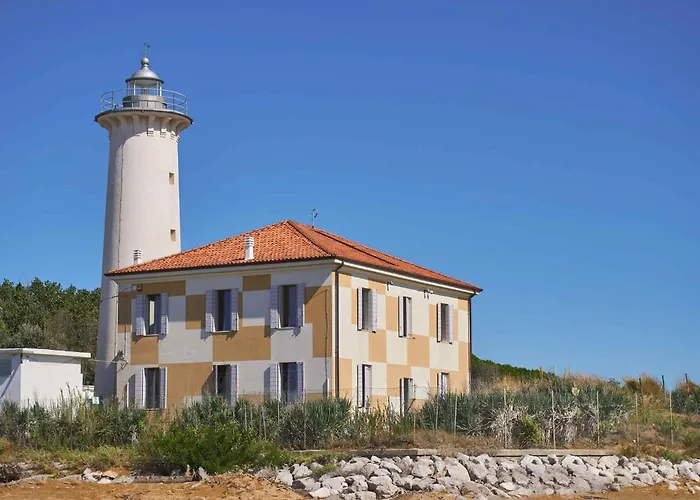 In 24541 비비오네